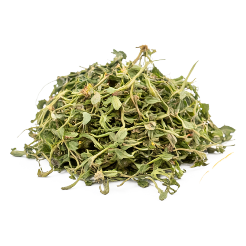 Cashamarucha: Planta base para la desinflamación.