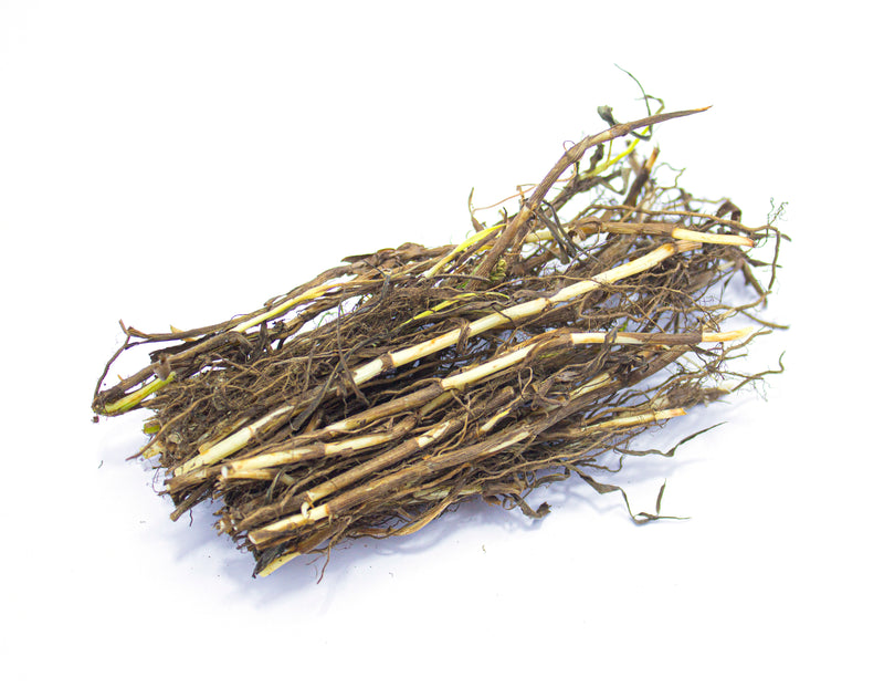 Grama (Elymus repens): Favorece la eliminación de líquidos