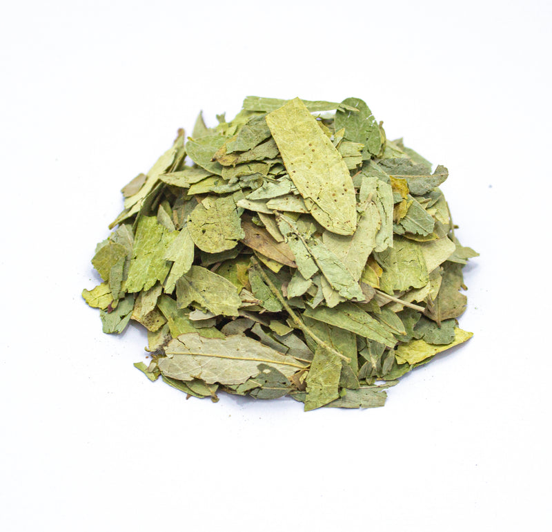 Senna alexandrina: Laxante natural que limpia intestino